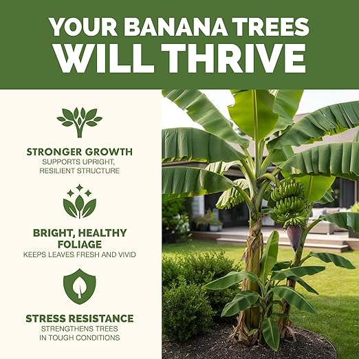 Banana Tree Fertilizer – Liquid Fertilizer for All Banana Tree Varieties, Supports Growth & Fruiting, 8 oz