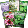 Sow Right Seeds - Herbal Tea Collection - Lemon Balm, Chamomile, Mint, Lavender, Echinacea Herb Seed for Planting; Non-GMO Heirloom Seed, Instructions to Plant Indoor or Outdoor; Gardening Gift
