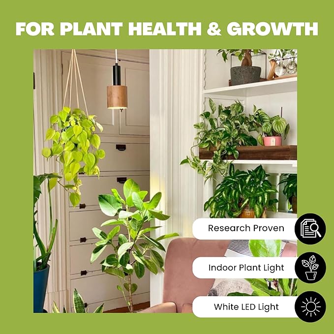 Norb NorbBOTANIC Full Spectrum Grow Light Bulb, Premium PAR38 LED Plant Light, 16W White Light for Indoor Plants, Herbs, Tropical Plants, 15 Degree