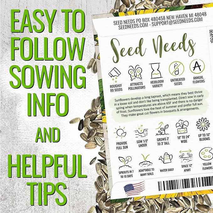 Seed Needs Sunflower Seeds for Planting Dwarf Sunspot Sunflowers - Heirloom & Open Pollinated Annual Cut Flower Seed to Plant 2 Foot Tall Sun Flowers (2 Packs)
