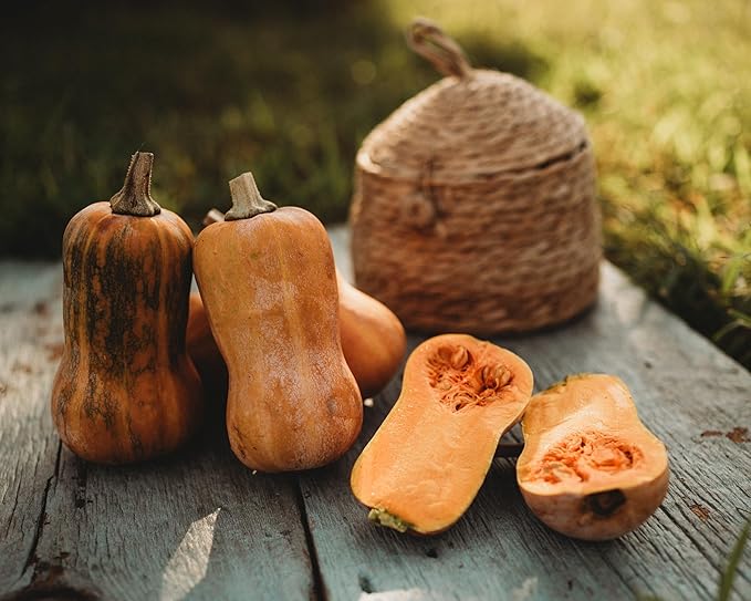 Honeynut Squash Seeds - 25 Count - Mini Butternut Squash Variety, Non-GMO, Heirloom Baby Butternut Squash Seeds for Planting in The Home Garden, Thresh Seed Company