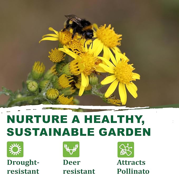 TKE Farms & Gardens - Mugwort Seeds for Planting, 500 mg Packet, 4000+ Non-GMO Heirloom Herb Seeds, Fast-Growing Perennial Herb, Includes Easy Planting Instructions