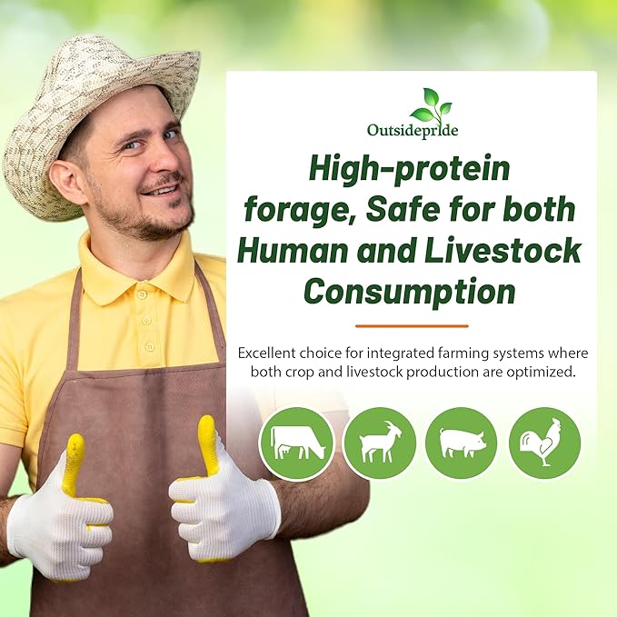 Outsidepride Cowpeas Seeds - 5 lbs Heat & Drought-Tolerant, Nutrient-Rich Cowpea Seeds for Cover Crops, Food Plots, Forage - Ideal for Planting, Enhancing Soil Health, and Improving Soil Fertility