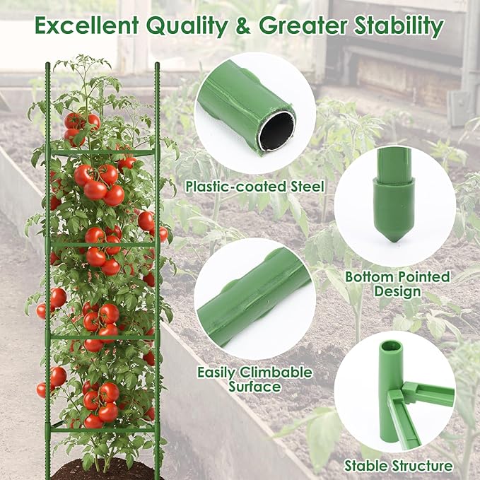 CEWOR Tomato Cage - 6 Pack Tomato Trellis, 63 Inch Extra Tall Tomato Cages for Garden, Plant Support Garden Stakes Triangle Structures for Climbing Plants Outdoor, Pots, Raised Garden Bed, Vegetables