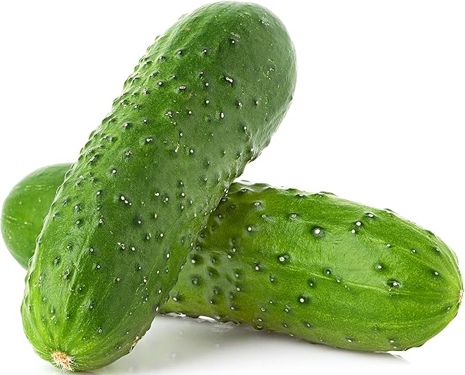 National Pickling Cucumber Seeds for Planting - Heirloom, Non-GMO, USA Grown Seeds in Premium Waterproof Packaging with Plant Information and Instructions - Cucumis Sativus