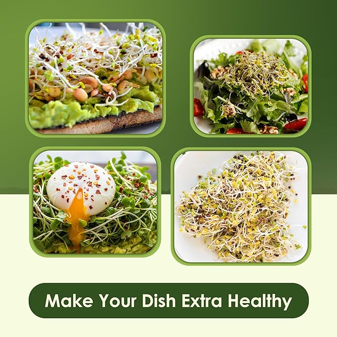 Nature Jims Organic Broccoli Sprout Seeds and Organic Salad Mix Seeds, Microgreens Variety for Healthy Indoor or Outdoor Growing, Nutritious Mix for Home Garden - 8oz + 1lb Bundle