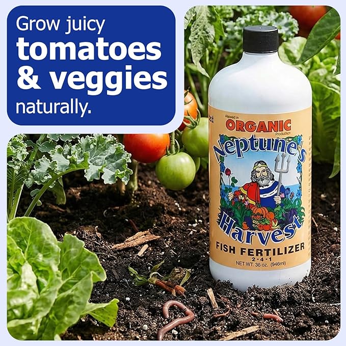 Neptune's Harvest Fish Fertilizer (2-4-1) - Organic Liquid Plant Fertilizer - Fish Hydrolysate for Vegetables, Flowers, Fruit, Trees, Grass - Indoor and Outdoor Plant Food (Quart)
