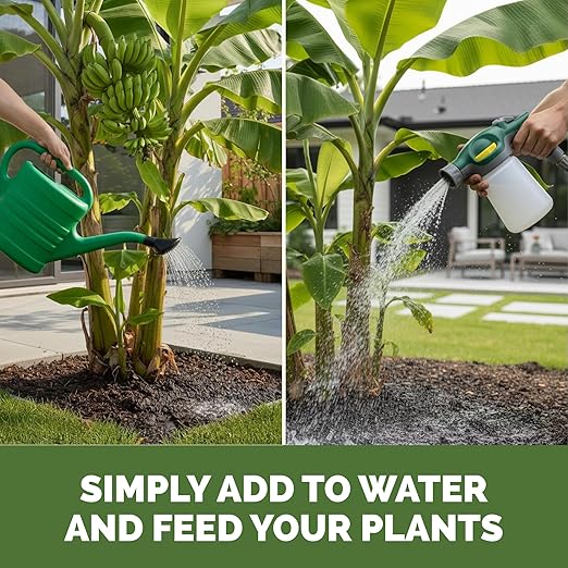 Banana Tree Fertilizer – Liquid Fertilizer for All Banana Tree Varieties, Supports Growth & Fruiting, 32 oz