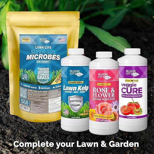 Bloom City Tomato & Veggie Plant Food – Liquid Fertilizer for Bigger Harvests, Stronger Roots & Vigorous Growth, 1 Gallon