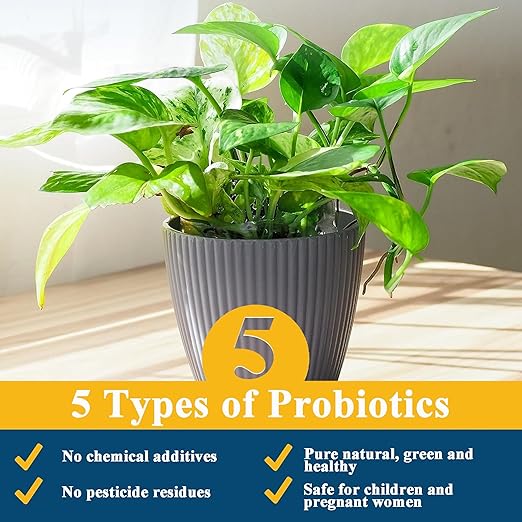 10 oz Pothos Plant Food Liquid Fertilizer - Organic Probiotic Nutrient Solution for Indoor Houseplants, Vibrant Leaves & Root Growth