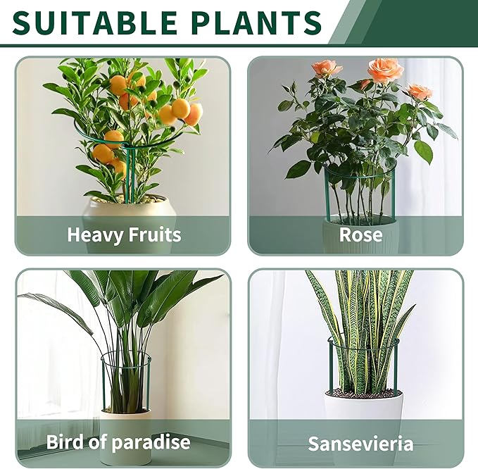 10 Pack Peony Cages and Supports, 10" (W) x 24"(H) Plant Support, Heavy-Duty Metal Plant Support Stakes, Plant Stakes for Outdoor & Indoor Plants, Perfect for Flowers and Vegetable