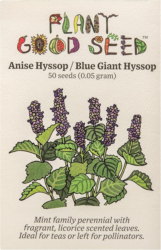 Plant Good Seed Organic Anise Hyssop Seeds for Planting: Licorice Scented Leaves, Giant Blue Flowers - 50 Seed Packet
