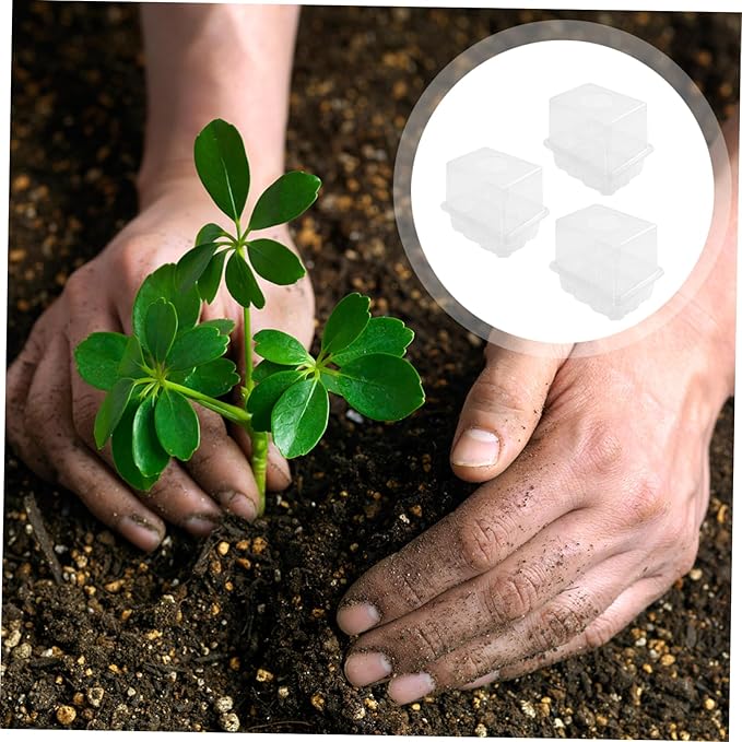 GANAZONO 3pcs Plant Germination Case Garden Planting Supplies Greenhouse Planting Box Moisture Retention Cover