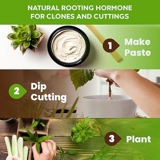 Big Foot Probiotic Root Boost Water Soluble Powder For Established Plants and Transplants - GROW ROOT SIZE, Increase Nitrogen, Grow New Plants from Cuttings, Pea Inoculant - 10 oz