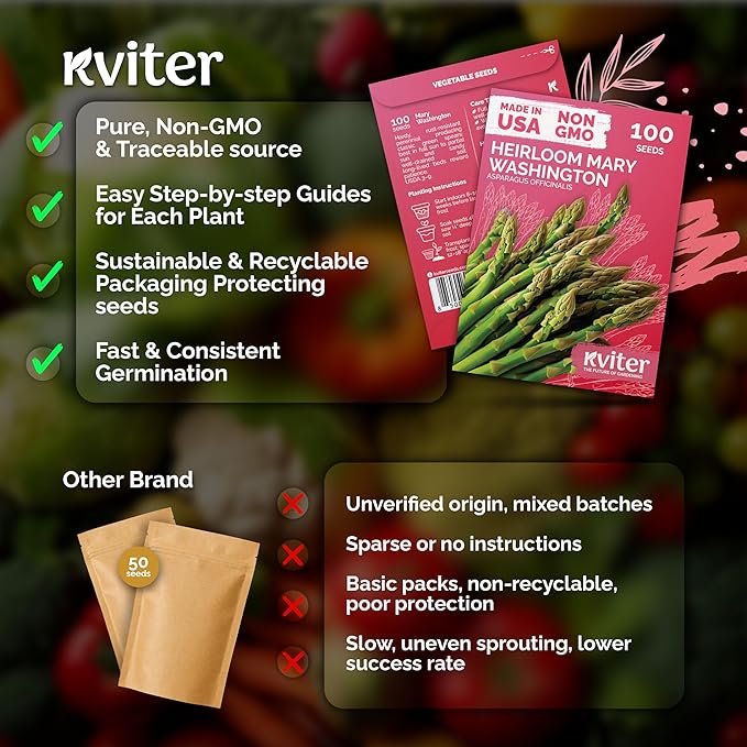 10 Asparagus Plants Bare Root Non GMO 2year Old Asparagus Plants