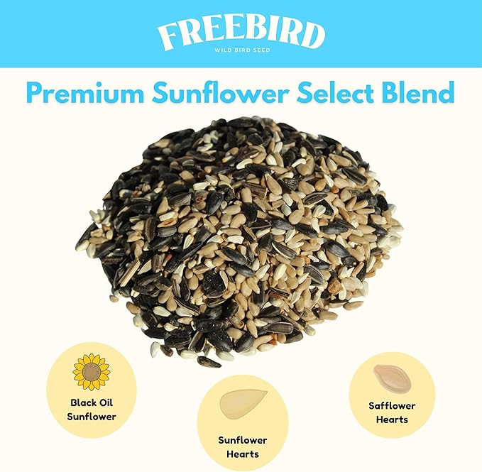 Wild Bird Seed by Freebird – Premium Black Oil Sunflower, Sunflower Kernels & Safflower Blend for Songbirds & Finches, Outdoor Feeders, 6 lb Bag