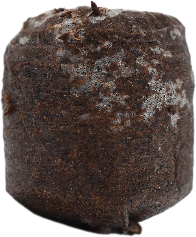 Black Duck Brand Set of 100 Netted Coco Coir Pellets - 38mm - Seed Starter Pellets - Expands with Water - Provides Seeds with The Optimum Starting Soil (100), 123456789
