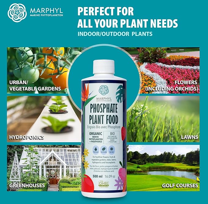 MARPHYL Organic Liquid Phosphate Soil Enhancer – Phosphorus Fertilizer for Root Development & Bloom Support, Ideal for Garden Flowers, Vegetables, Succulents & Hydroponics