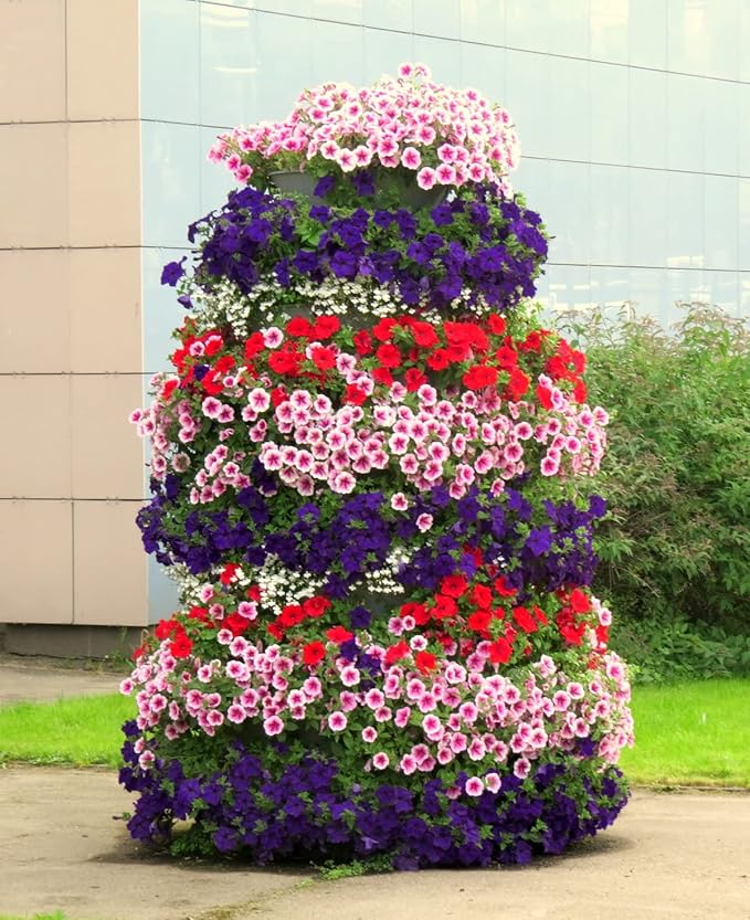 500+ Seeds Petunia Unicum Rainbow Cascade - Flower Mix