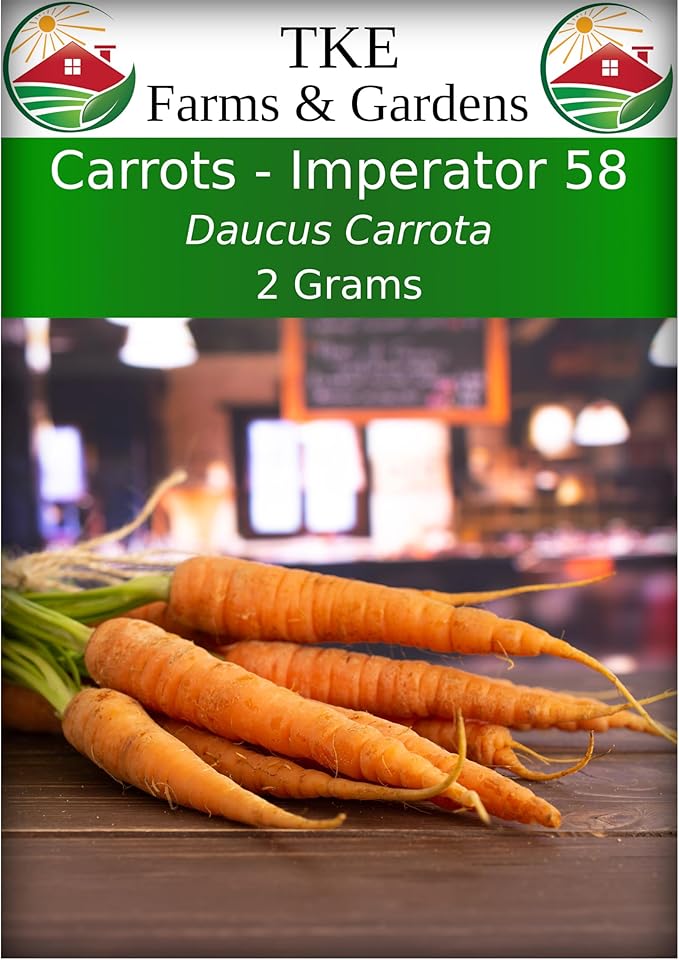 TKE Farms & Gardens - Imperator 58 Carrot Seeds for Planting, 1000+ Heirloom Non-GMO Vegetable Variety, Raised Bed Friendly, Instructions Included