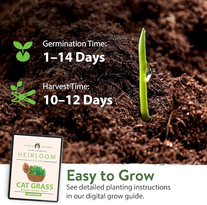 HOME GROWN 2,160+ Cat Plant Seeds Mix – Non GMO Heirloom Catnip, Lemongrass, Licorice, Thyme & Valerian – Pet-Friendly Indoor Garden Refill Kit for Cats & Kittens