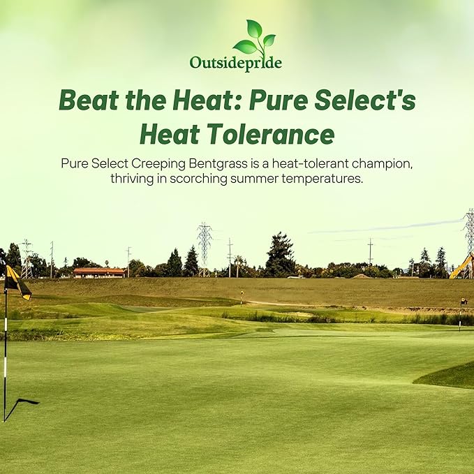 Outsidepride Pure Select Creeping Bent Grass Seed - 2 lbs. Premium Turf Grass for Putting Greens, Tees & Fairways, Dense & Fine-Textured Lawn Seed for Smooth, Professional-Quality Golf Greens & Lawns