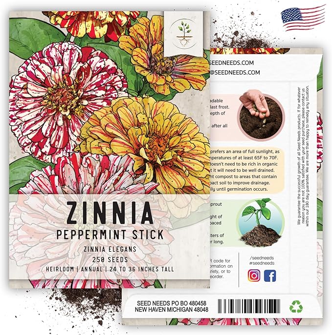 Seed Needs Peppermint Stick Zinnia Seeds for Planting Bi-Colored Zinnias - Heirloom & Open Pollinated Annual Cut Flowers - Perfect to Attract Pollinators to a Butterfly Garden (1 Pack)