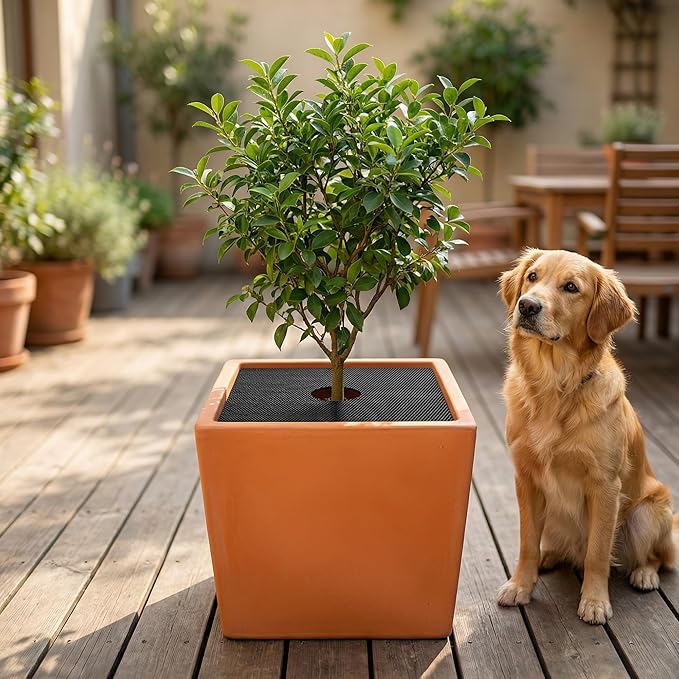 Adnee 8 Pcs 11.8 Inch Plant Pot Grids, Cuttable Plant Pot Soil Covers Protectors from Animals, Indoor Square Planter Pots Soil Guard for Outdoor Garden Plants Protection