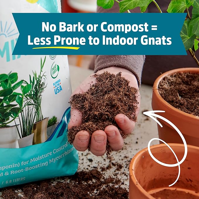 Back to the Roots 100% Organic Indoor Potting Mix (6 Quart), Promotes Healthy Houseplant Growth, Made in The USA