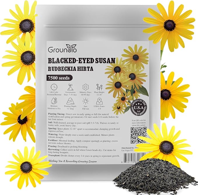 Black Eyed Susan Seeds, Perennial Rudbeckia Hirta Yellow Flower for Attract Pollinators, Non-GMO, Heirloom Wildflowers Seeds, USDA Zone 3-9, 2g