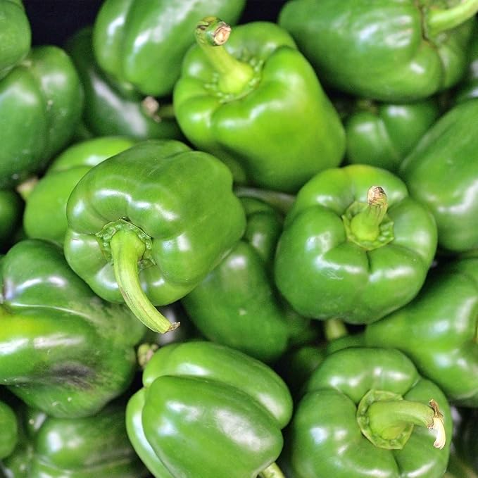 California Wonder 300 TMR Sweet Pepper Garden Seeds - 1 Oz - Non-GMO, Heirloom Vegetable Gardening Seed
