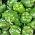 California Wonder 300 TMR Sweet Pepper Garden Seeds - 4 Oz - Non-GMO, Heirloom Vegetable Gardening Seed