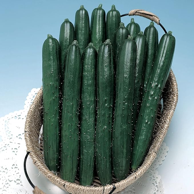 Summer Dance Cucumber Seed 2 g ~90 Seeds – Non-GMO, Heirloom Japanese Variety – Crisp, Sweet, Burpless Cucumbers for Fresh Eating or Pickling – High-Yield Plants for Garden Beds or Containers