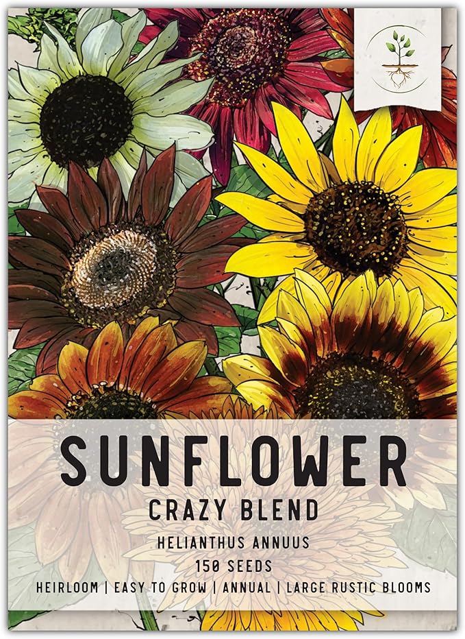 Seed Needs Sunflower Seeds for Planting (15+ Varieties, Crazy Mixture) Heirloom Open Pollinated & Untreated - Attracts Butterflies & Bees to a Butterfly Garden (1 Pack)