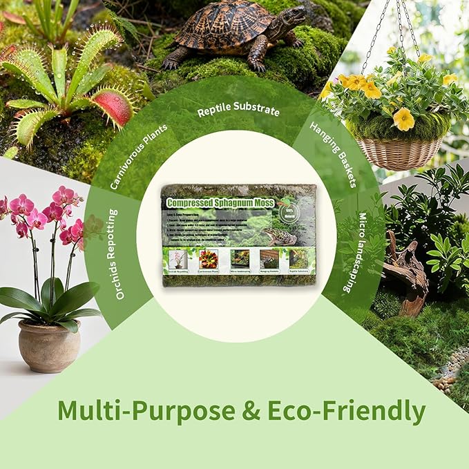 Compressed Sphagnum Moss for Plants & Reptiles (2pc)– Dried Peat Moss, Moisture-Retentive for Indoor Plants, Orchids, Terrariums, Reptile Bedding (100% Natural, Reptile-Safe