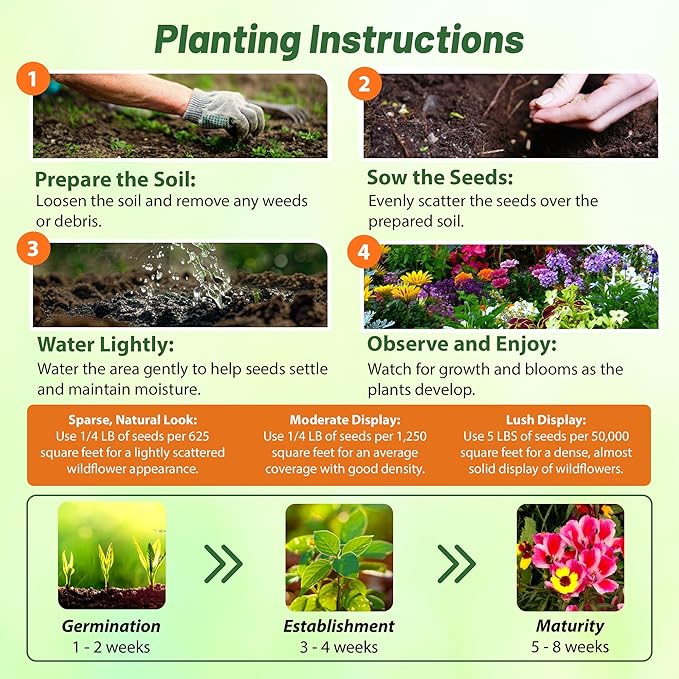 Outsidepride Pollinator Wildflower Seed Mix - 1/4 lb Flower Seeds for Attracting Pollinators, Ideal for All States, Enhances Garden Biodiversity, Supports Bees, Butterflies & Beneficial Insects