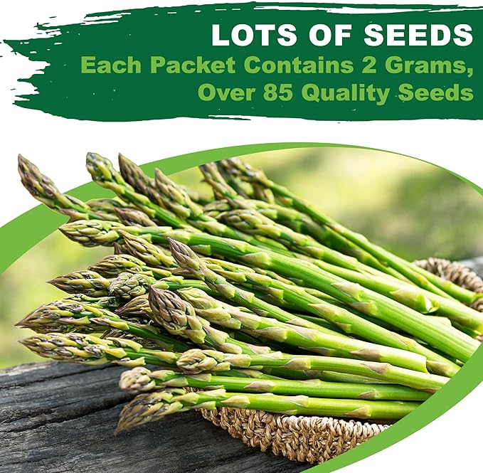 TKE Farms & Gardens - Mary Washington Asparagus Seeds for Planting, 85+ Heirloom Non-GMO Seeds, Tender Perennial Stalks with Rich Flavor, Perfect for Spring Gardens, Includes Growing Instructions