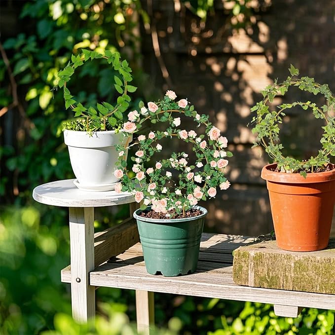 Hoya Trellis 3 Size Indoor Plants Flower Support Stakes Round or Heart Metal Trellis Set Garden Tool Accessories for Small Potted Vine Climbing Houseplants (GoldenC)
