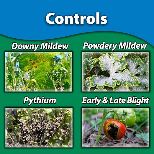 Monterey Complete Disease Control Bundled with Measuring Spoon - Fungicide & Bactericide for Control of Garden & Lawn Diseases - 8 oz