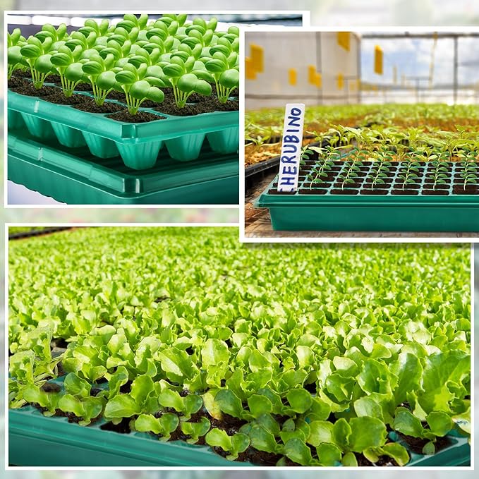 Romooa 20 Pcs Seed Starter Kit 72 Cell Seedling Starting Trays and 1020 Trays No Holes Plant Growing Nursery Pots for Gardening Germination Propagation (Green)