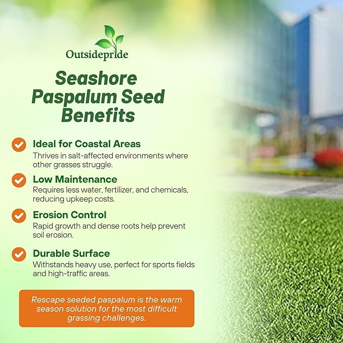 Outsidepride Rescape Seashore Paspalum Turf Grass Seed - 1 lb. Warm Season, Salt & Drought Tolerant Dense Lawn Grass Seed, Perfect for Erosion Control, High Traffic Fields, Beaches, & Coastal Areas