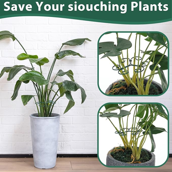 4 Pcs Plant Stem Supports for Indoor Plants, Iron Monstera Plant Support Stakes Plant Supports for Indoor Plants Holders Climbing and Thriving Growth Decorative Accessories