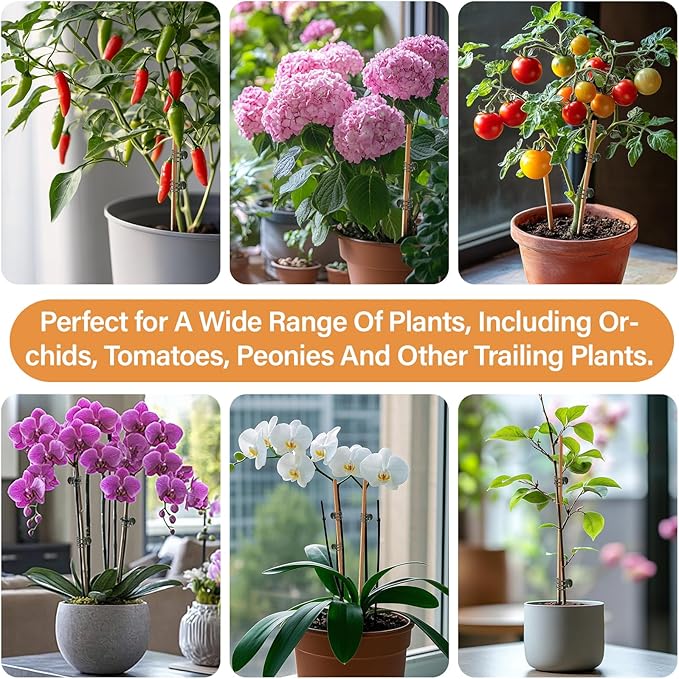 200 PCS Plant Clips Orchid Clips - Plant Support Clips for Indoor Plants, Small Plastic Garden Trellis Clips for Plant Stakes, Climbing Vine Stem Support, Orchid Plant Training Upright Growth