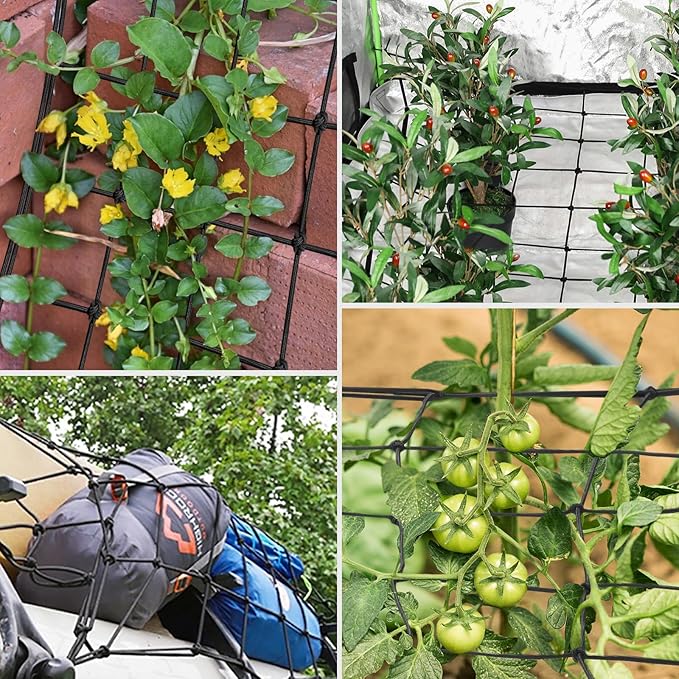 VIVOSUN 2 x 4Ft. Elastic Trellis Netting with 4 Hooks for Climbing Plants, Vegetables, Fruits, and Flowers, 1-Pack
