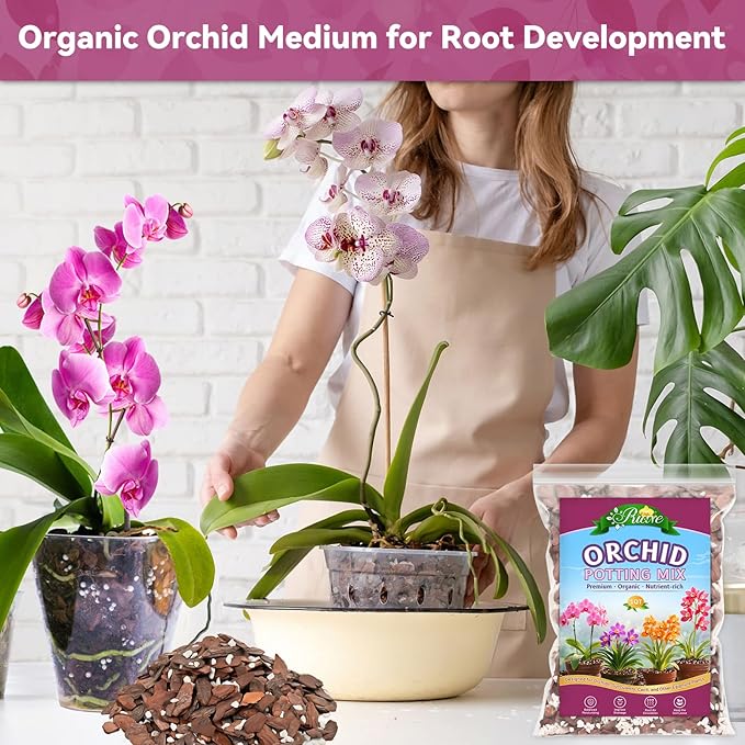 Riare 1QT Orchid Potting Mix, Natural Orchid Bark Potting Mix Soil Medium with Pine Bark and Perlite, Premium Orchid Repotting Kit for Phalaenopsis Dendrobiums, Enhanced Drainage & Root Expansion