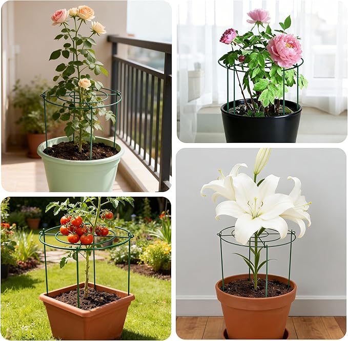 8 Pack Peony Cages Set 11.5" Dx16 H Peony Cages and Supports Heavy Duty Metal Plants Support Cage for Outdoor Green Support Rings for Flower Strawberry Tomato Hydrangeas
