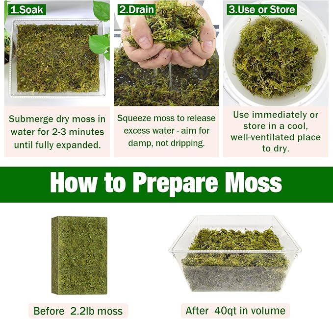 ZeeDix 2.2 lbs Forest Moss for Plants Indoor - Dried Orchid Moss for Repotting, Natural Green Sphagnum Moss for Potted Plants Carnivorous Monstera Succulents Crafts Reptile Habitat (Expands to 40 qt)