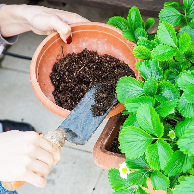 Organic Strawberry Soil Mix 10qt, Indoor Plants Potting Mix for All Potted Strawberry, Grow Healthy houseplants Indoors