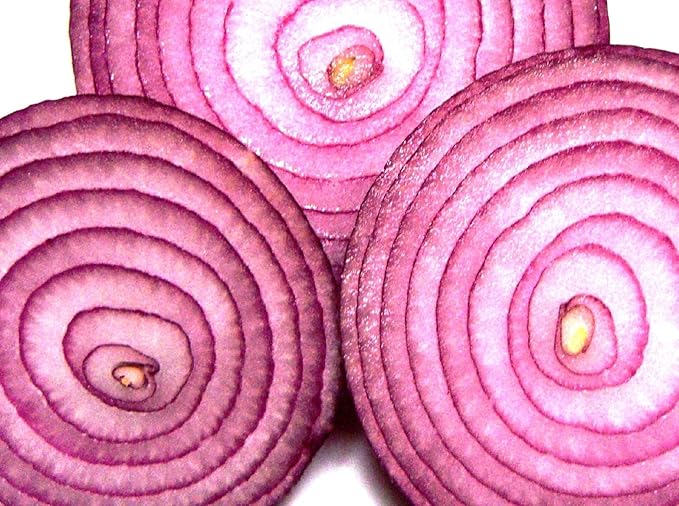 Onion RED Creole Great Heirloom Vegetable by Seed Kingdom Bulk 1/4 Lb Seeds