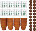 BUZZY Seeds Forget Me Not Flower Grow Kit Bulk 20pk Mini Terracotta Pots Gardening Starter Set, Wedding Favors, Shower Prizes, Garden Parties